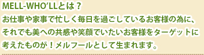 MELL-WHO’LLとは？お仕事や家事で忙しく毎日を過ごしているお客様の為に、それでも美への共感や笑顔でいたいお客様をターゲットに考えたものが！メルフールとして生まれます。